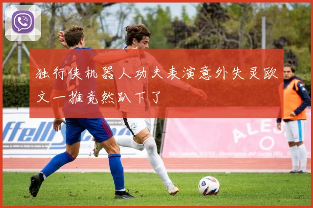 独行侠机器人功夫表演意外失灵欧文一推竟然趴下了